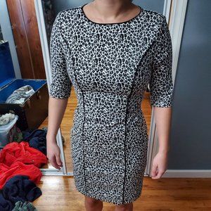 Banana Republic Cheetah Print Dress